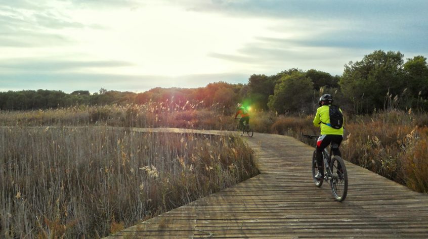Ruta Valencia al Saler en Bicicleta. Furgocar