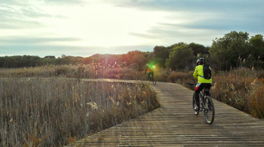 Ruta Valencia al Saler en Bicicleta. Furgocar