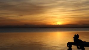 albufera