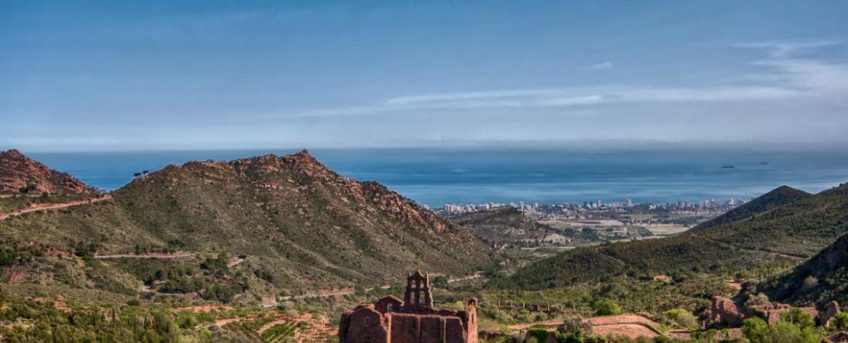 desierto de las palmas